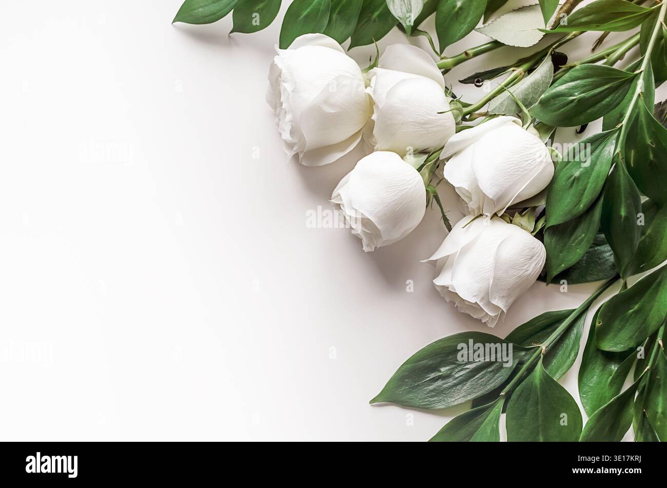 Weiße Rosen und Laub auf weißem Hintergrund mit Platz für Text. Ein sanftes, romantisches Hochzeitskonzept. Blick von oben. Stockfoto