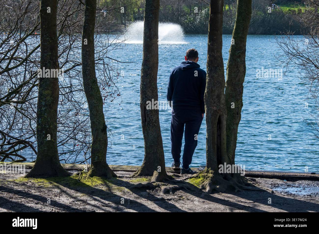 Eine einsame Figur, die einen See mit einem Brunnen durch die Tresse schaut. Stockfoto