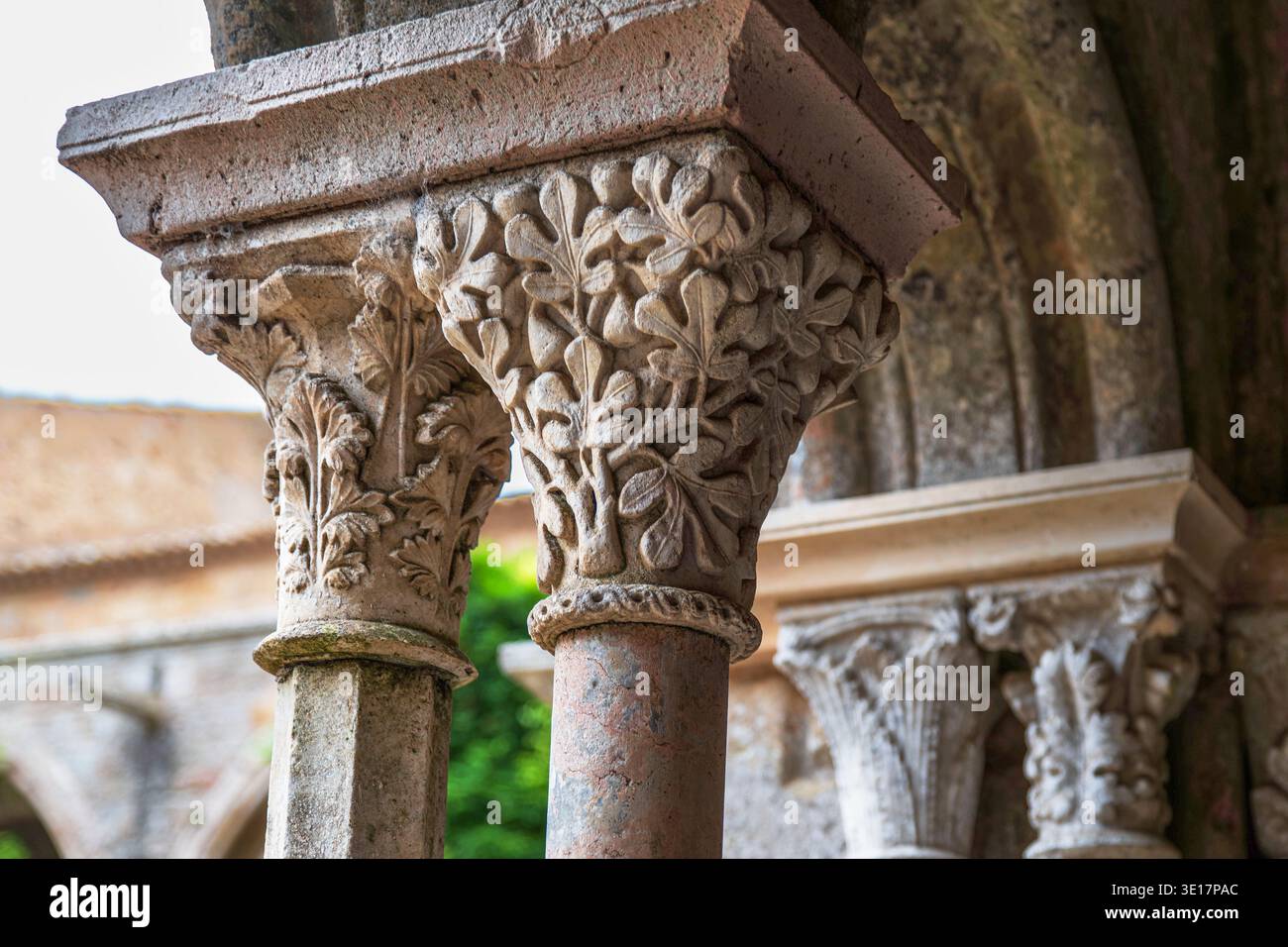 Detail eines Säulenkapitals im Kreuzgang der Zisterzienserabtei Fontfroide in Frankreich Stockfoto