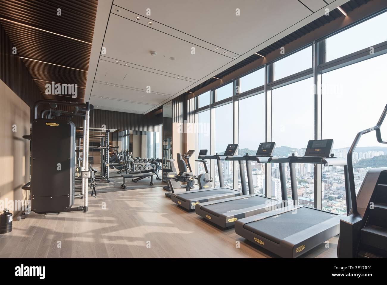 Cardio-Zone mit Laufbändern in einem modernen Fitnesscenter. Stockfoto