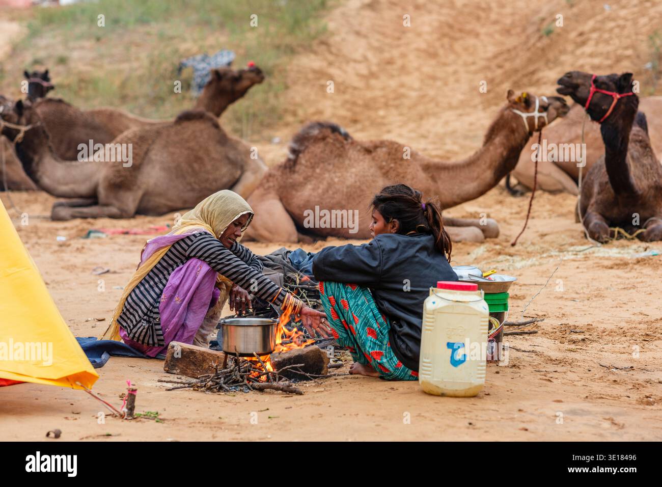 Zwei Frauen kochen am offenen Feuer auf der Kamelmesse Pushkar, während mehrere Kamele auf dem Sandboden in der Ferne hinter ihrem Lager ruhen. Stockfoto