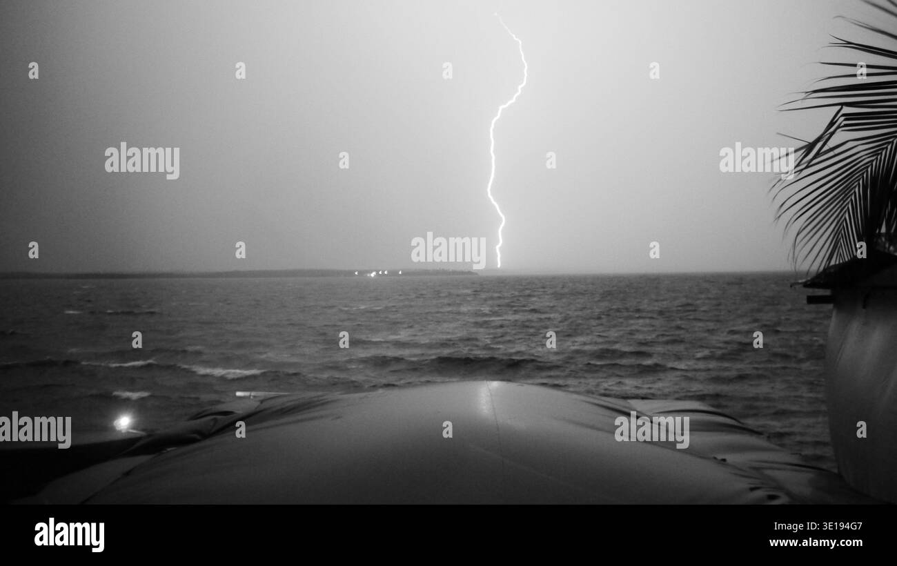 Dramatisches Schwarzweiß-Foto eines Blitzes, der während eines Sturms über den Horizont des Ozeans schlägt, von einem Aussichtspunkt an der Küste mit Palmen aus gesehen Stockfoto