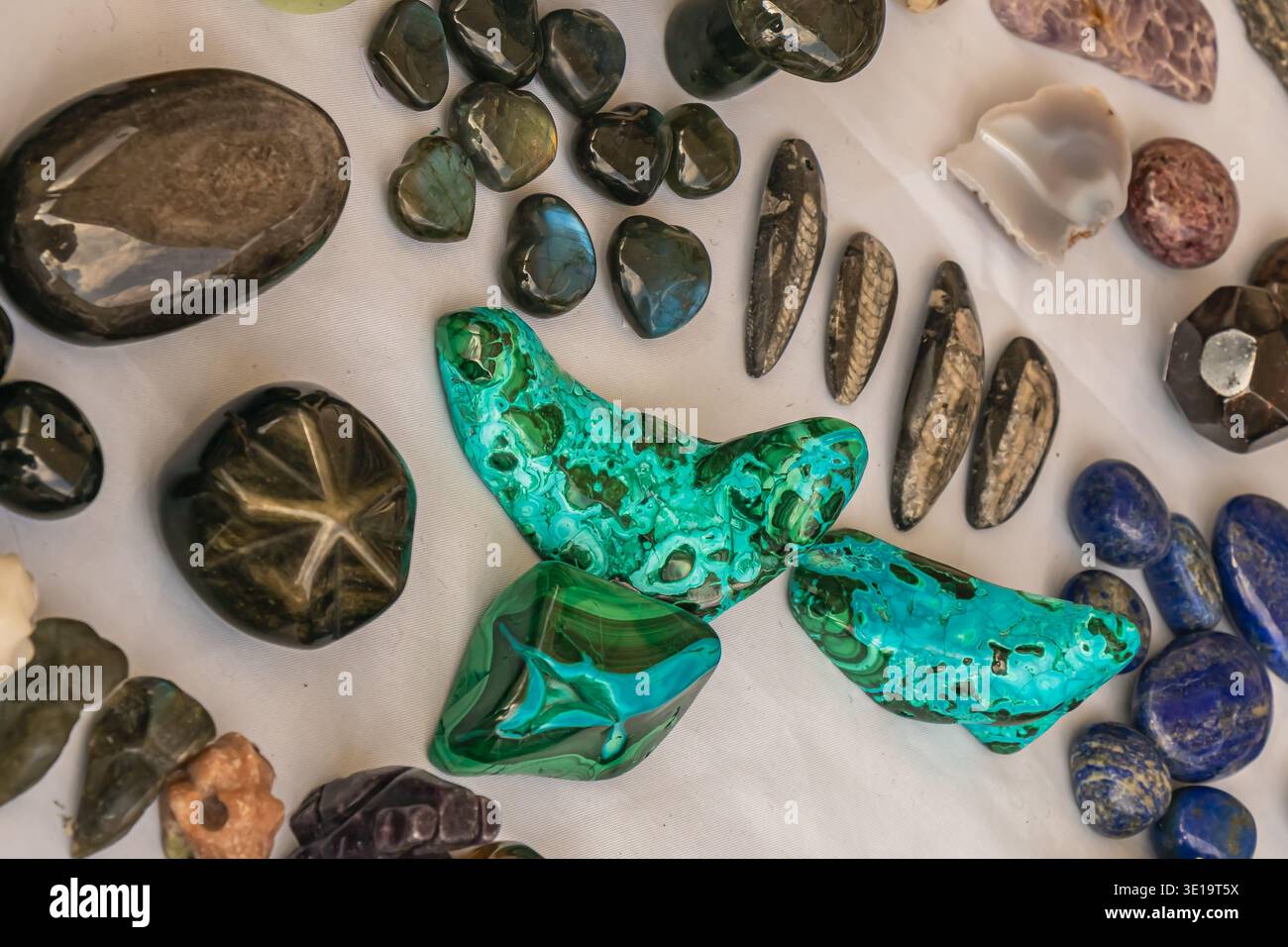 Sammlung polierter Mineralien und Edelsteine auf einer weißen Displayfläche, mit Malachit, fossilen Steinen und bunten Kristallen A Stockfoto