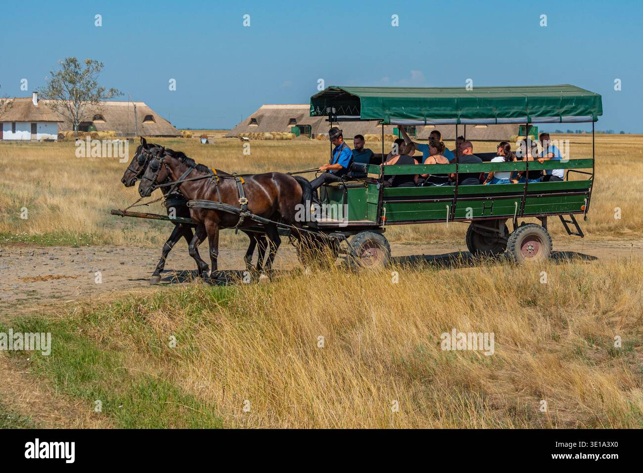 Hortobagy, Ungarn, 15. August 2025: Touristenwagen im Hortobagy-Nationalpark in Ungarn Stockfoto