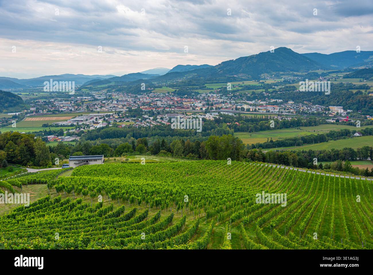 Weingut Taggenbrunn in Österreich. BILD Stockfoto