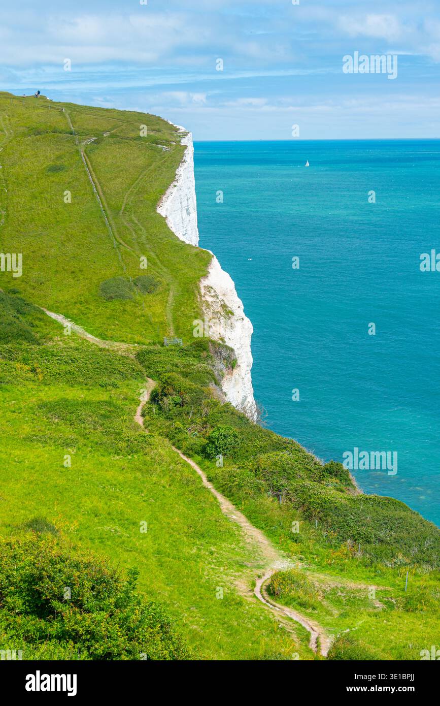 Weiße Zilfen von Dover in England. BILD Stockfoto
