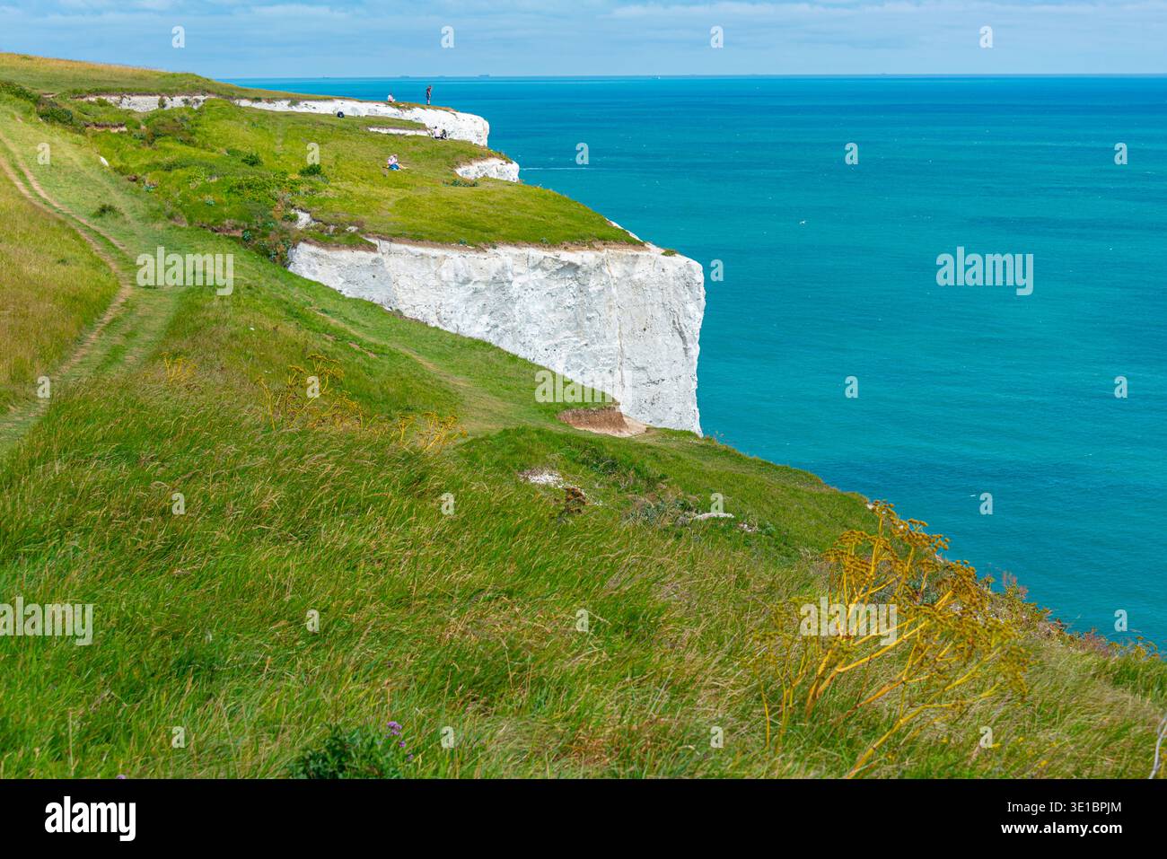 Weiße Zilfen von Dover in England. BILD Stockfoto