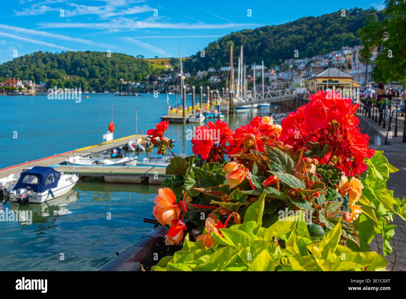 Blumen am Flussufer der Stadt Dartmouth in England. BILD Stockfoto
