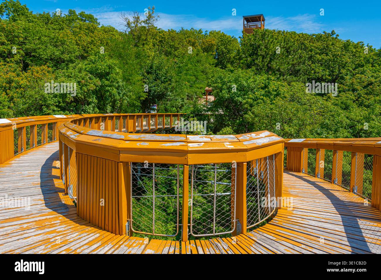Spaziergang mit dem Baldachin in der Abtei Pannonhalma in Ungarn. BILD Stockfoto