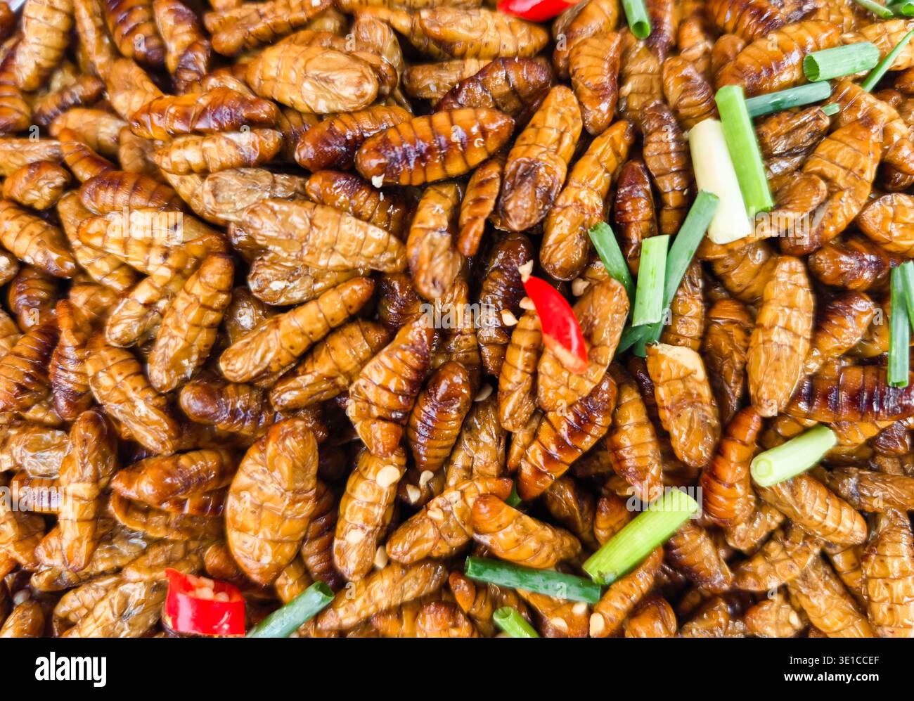 Gebratene Seidenraupenpuppen, ein beliebter Snack in Südostasien, Phnom Penh, Kambodscha Stockfoto