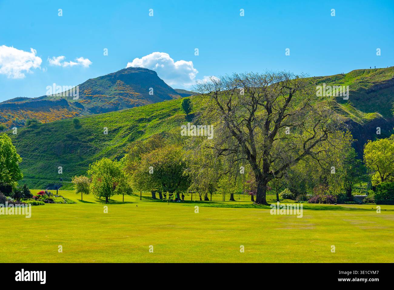 Natürliche Landschaft des Holyrood Park in Edinburgh, Schottland.BILD Stockfoto