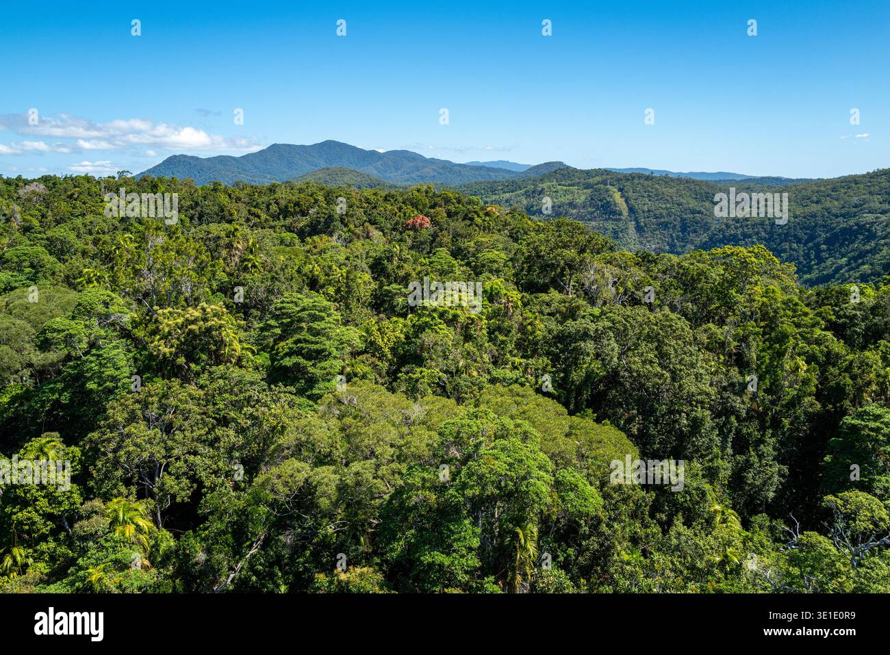 Hochwinkelblick auf üppig grüne tropische Regenwälder und ferne Berge in der Nähe von Kuranda, North Queensland. Stockfoto