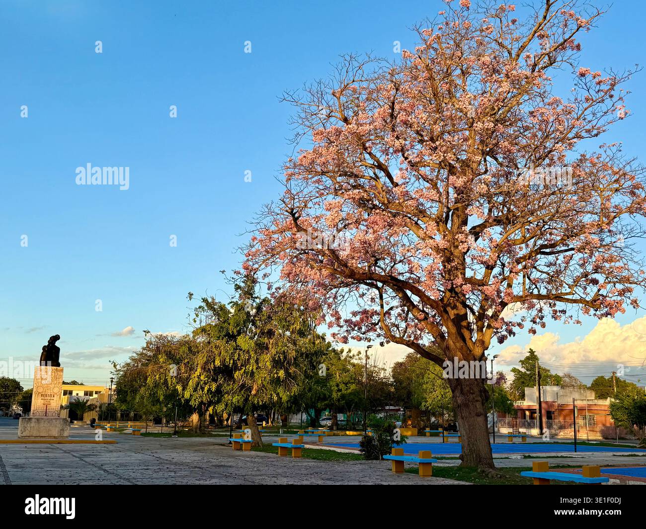 Parque de la Colonia Yucatán bei Sonnenuntergang in Mérida, Yucatán, Mexiko. Stockfoto