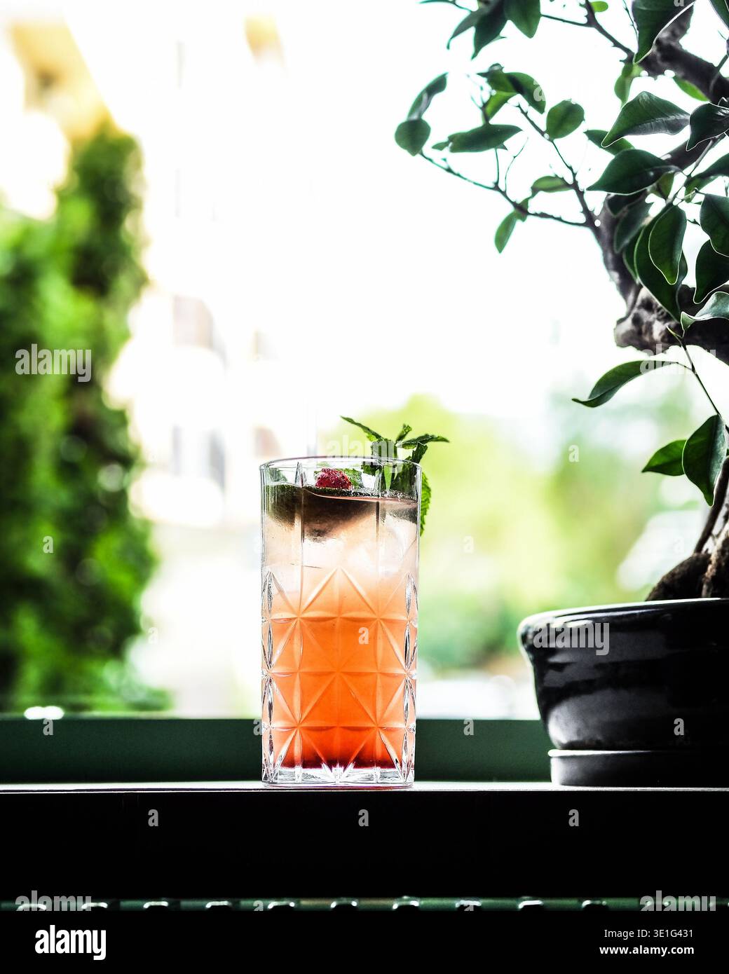 Hausgemachte Zitrusmocktail Mit Mint Garnish. Sonnendurchflutetes Frühstück Mit Frischer Minze Und Kondenswasser Stockfoto