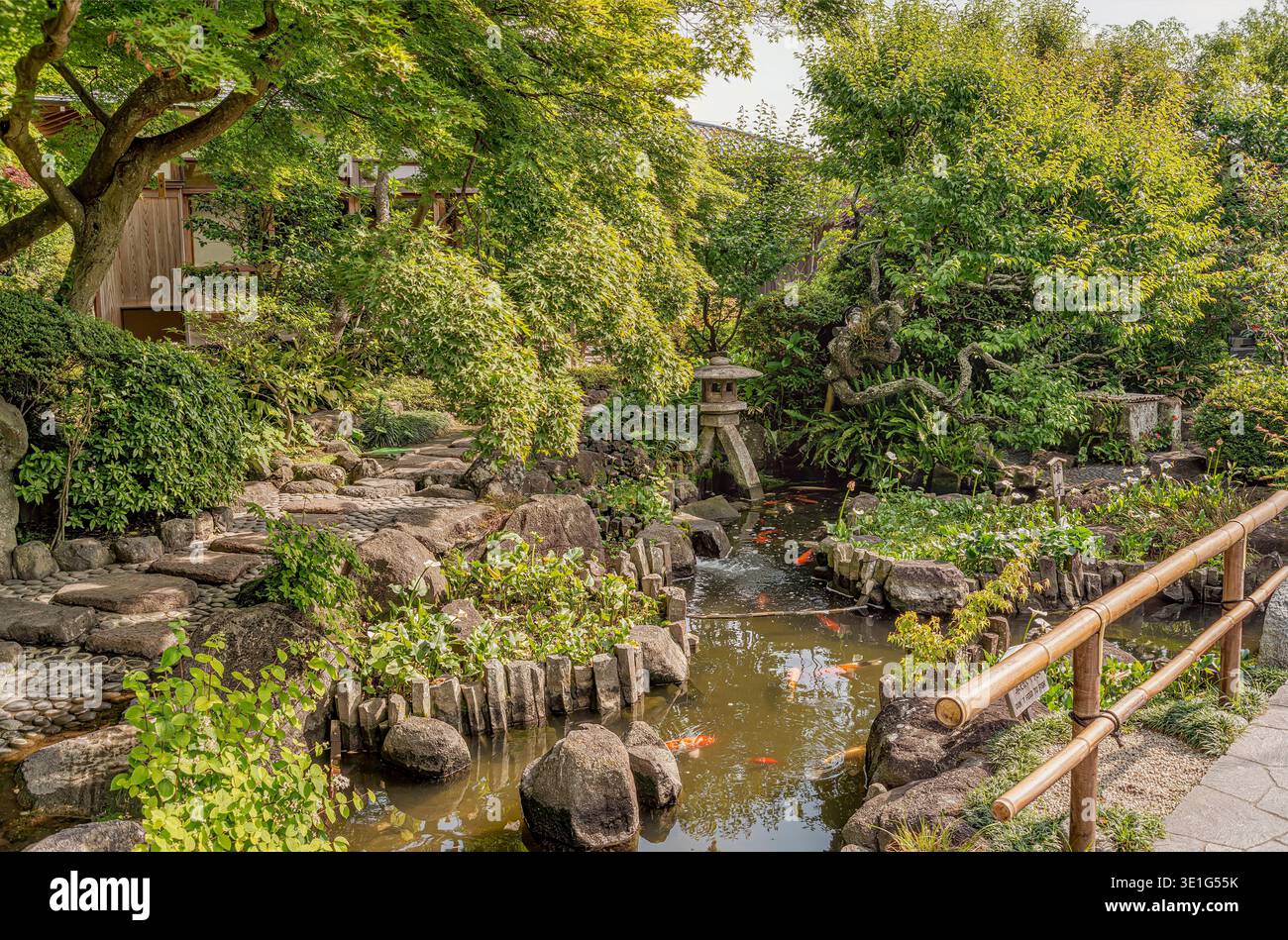 Traditioneller japanischer Garten im Hase-dera-Tempel in Kamakura, Japan, mit Koi-Teich, Steinlaterne und üppigem Grün in ruhiger Umgebung Stockfoto