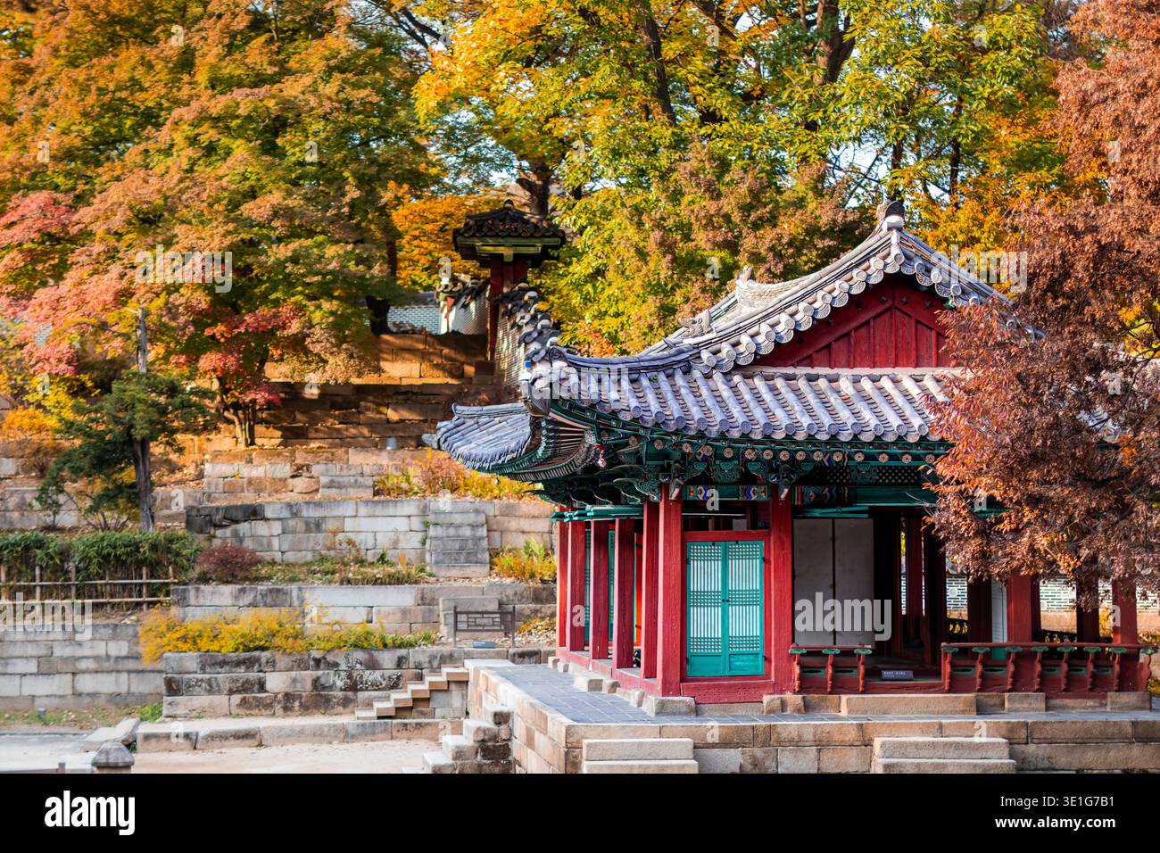 Traditioneller koreanischer Pavillon, umgeben von farbenfrohen Herbstlaub, mit historischer Architektur und saisonaler Landschaft. Stockfoto
