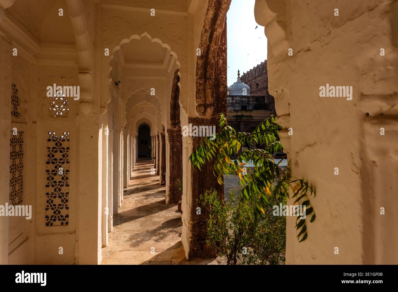 Eine Reihe geschnitzter Bögen im Fort Mehrangarh führt das Auge zu einer weißen Marmortempelkuppel, die in der Ferne in Jodhpur zu sehen ist. Stockfoto