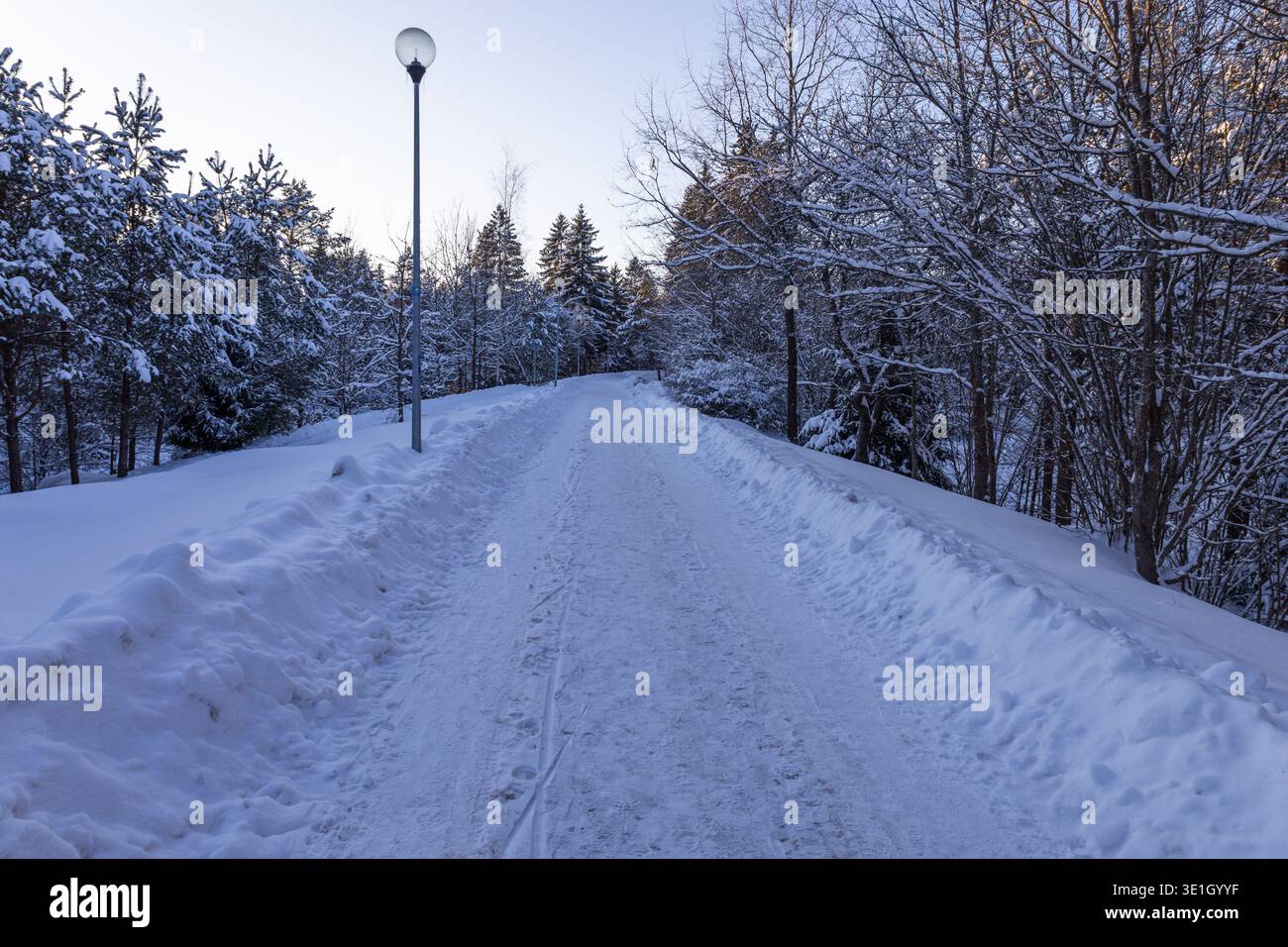 Verschneite Landstraße in ruhigem Winterwald Stockfoto