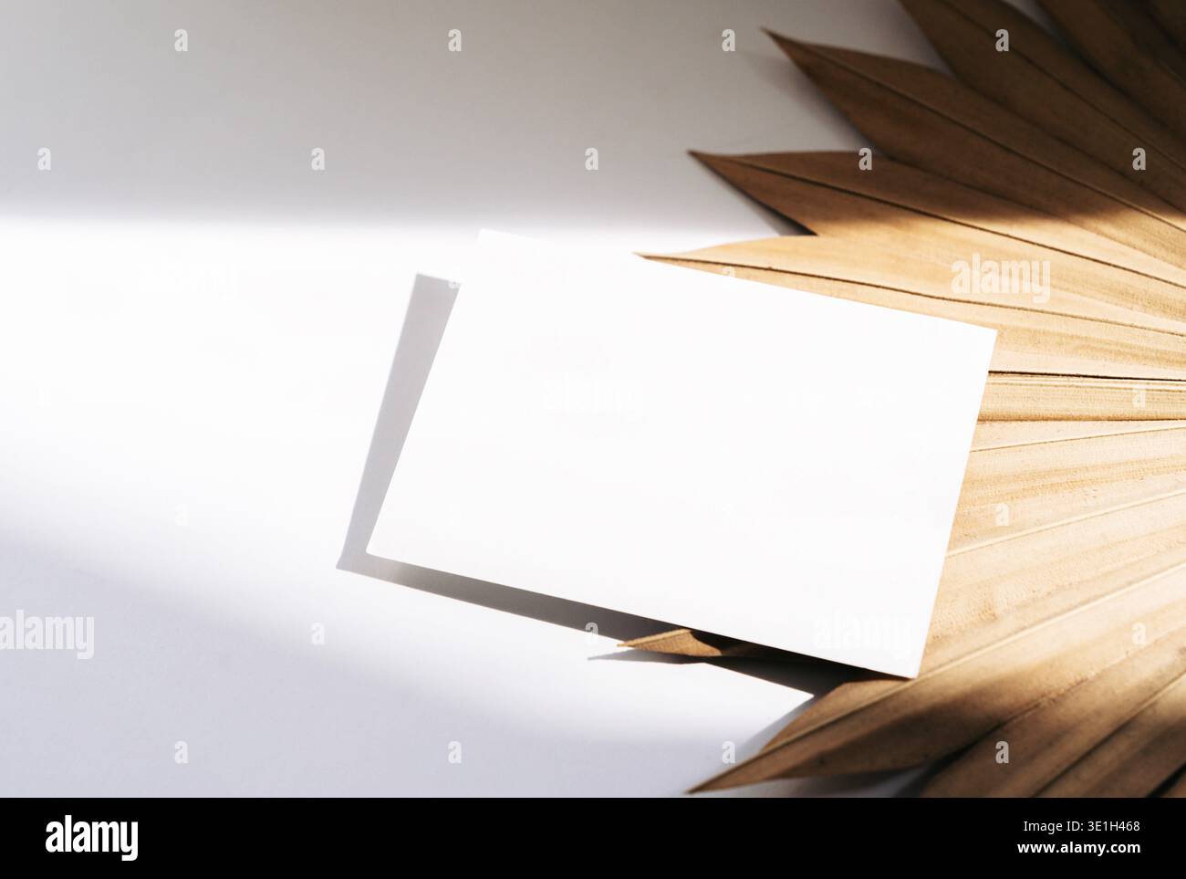 Leeres weißes Visitenkartenmockup mit getrockneten Palmblättern und weichem Tageslicht. Minimale Branding-Vorlage mit Kopierraum für Logo oder Firmenausweis Stockfoto
