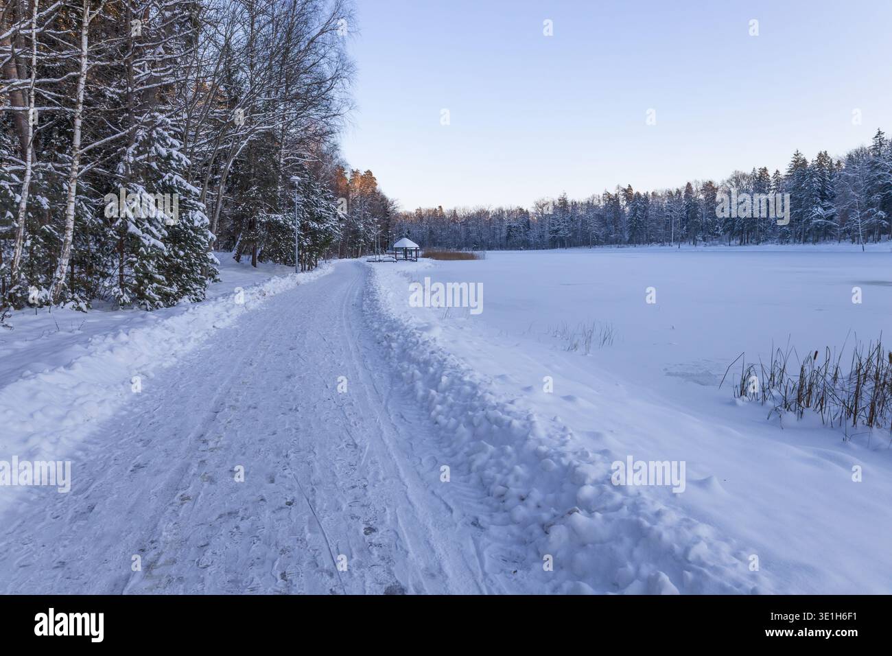 Geschwungene, schneebedeckte Straße in kalter Winterlandschaft Stockfoto