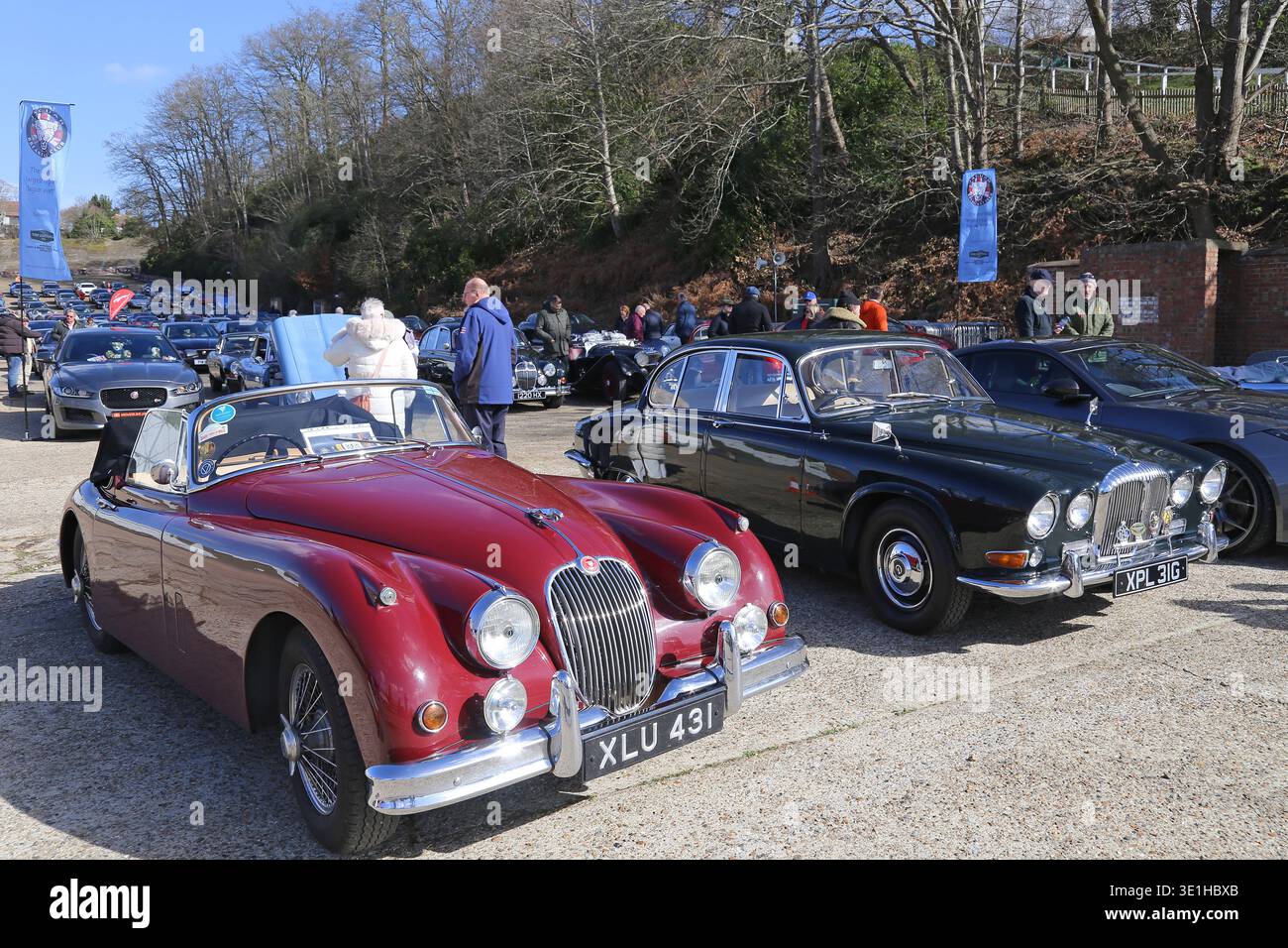 Jaguar XK150 3,4 DHC (1959) und Daimler Sovereign 4,2 (1969), Jaguar Breakfast Club, 14. März 2026, Brooklands Museum, Weybridge, Surrey, England, Großbritannien Stockfoto