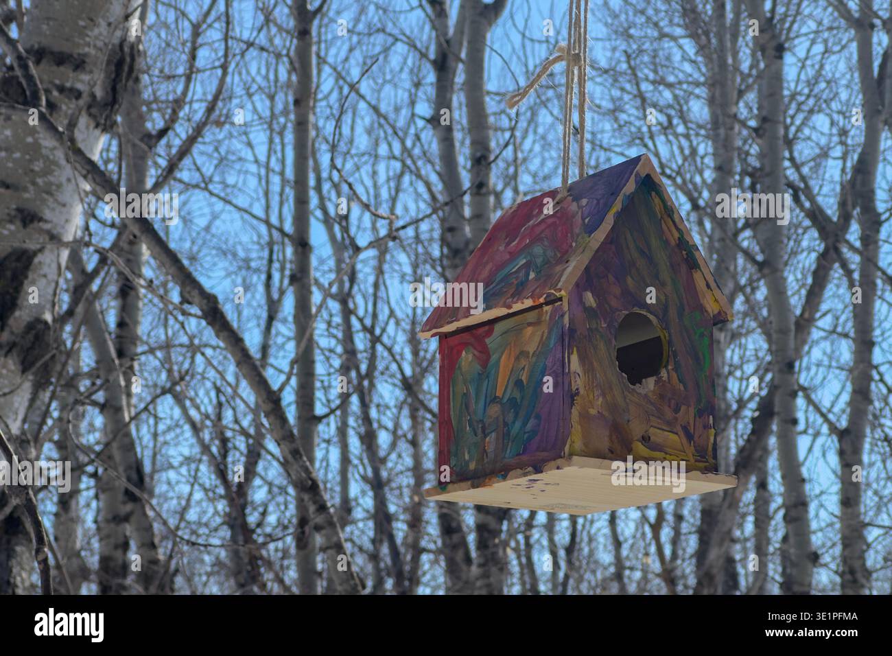 Handgemaltes hölzernes Vogelhaus, das an einem Seil zwischen Birkenbäumen in einem ruhigen Wald hängt. Farbenfrohe rustikale Nistkästen im Freien in natürlicher Waldlandschaft Stockfoto