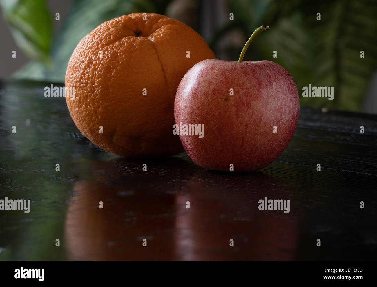 Ein klassisches Stillleben-Foto mit Orange und Apfel Stockfoto