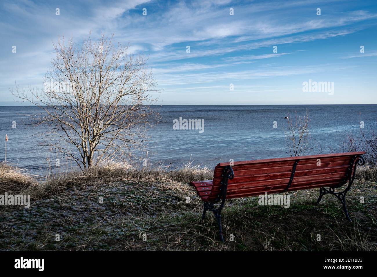 Leere rote Bank mit Blick auf die Ostsee in der kalten Jahreszeit Stockfoto