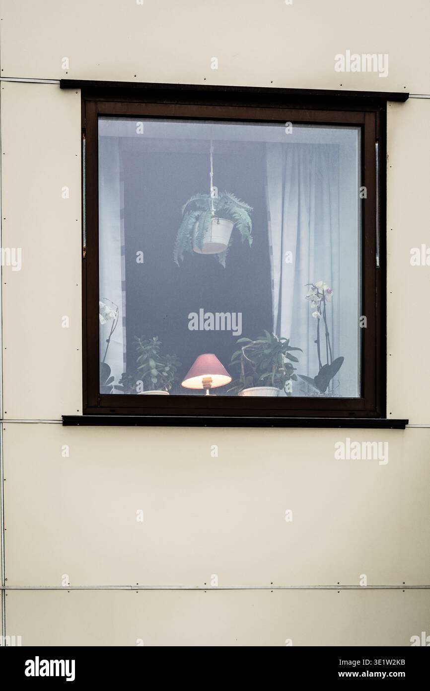 Blick auf ein Fenster, das eine gemütliche Einrichtung mit Pflanzen, einer leuchtenden Lampe und weichen Vorhängen reflektiert, was auf eine ruhige Wohnszene hindeutet, Lofoten Islands, Nor Stockfoto