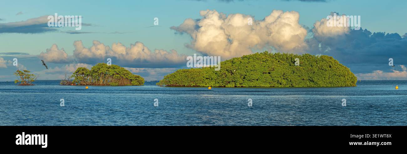 Inseln mit roten Mangrovenbäumen, die im flachen Wasser nördlich von Sainte-Rose wachsen, Karibikinsel Guadeloupe - Panoramablick bei Sonnenuntergang Stockfoto