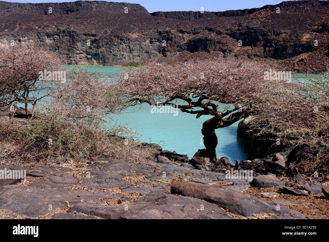 Loma Krater Seen, in der Nähe von Semera, Äthiopien Stockfoto