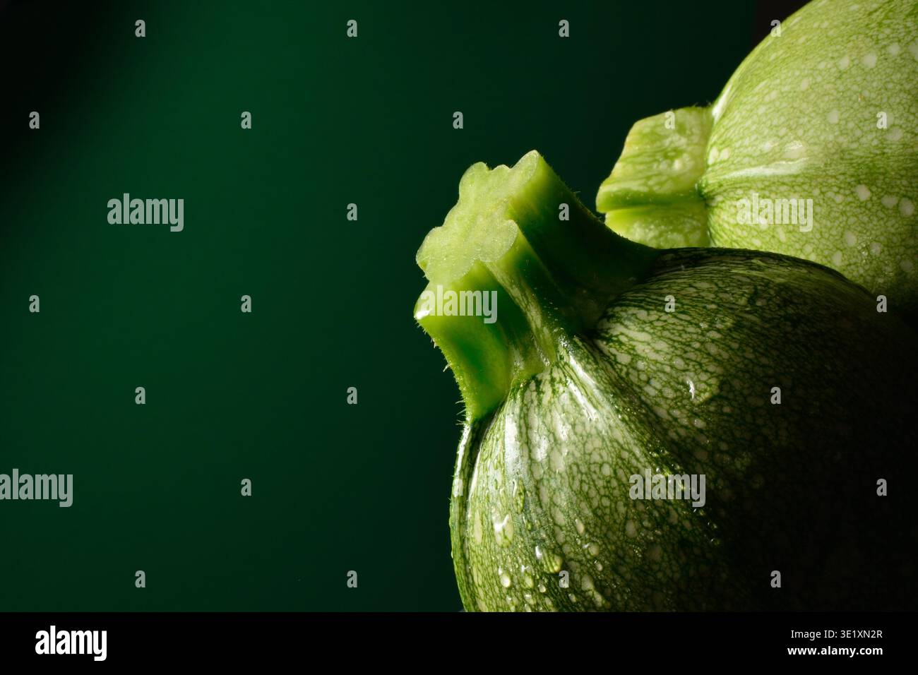 Nahaufnahme frischer runder Zucchini-Zucchini mit Wassertröpfchen auf grünem Hintergrund Stockfoto