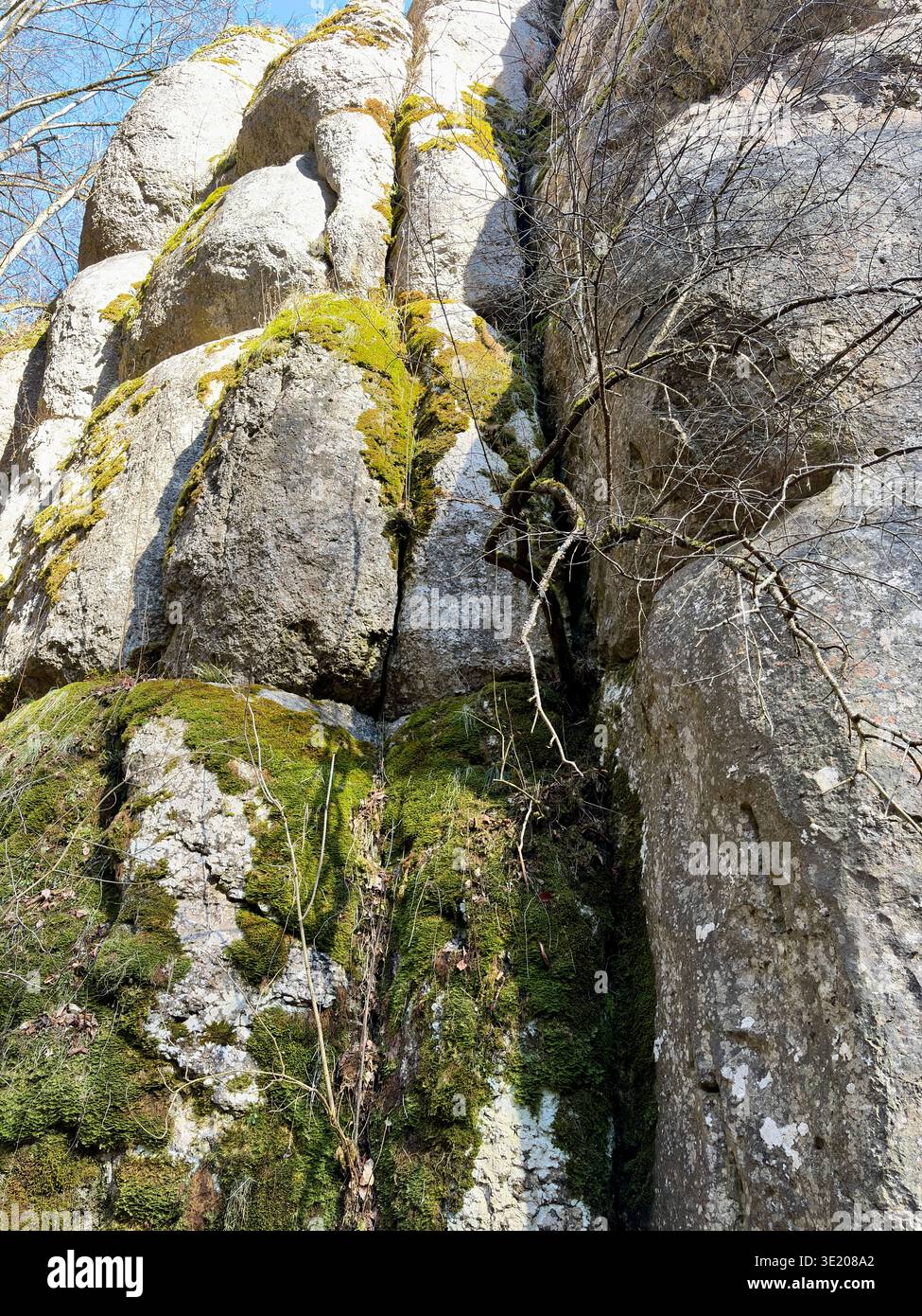Nahaufnahme einer strukturierten Kalksteinwand, bedeckt mit hellgrünem Moos im Ojcowski-Nationalpark, Polen. Natürliche geologische Details in Ojcow. - Smartphone-aufgenommenes Stockfoto