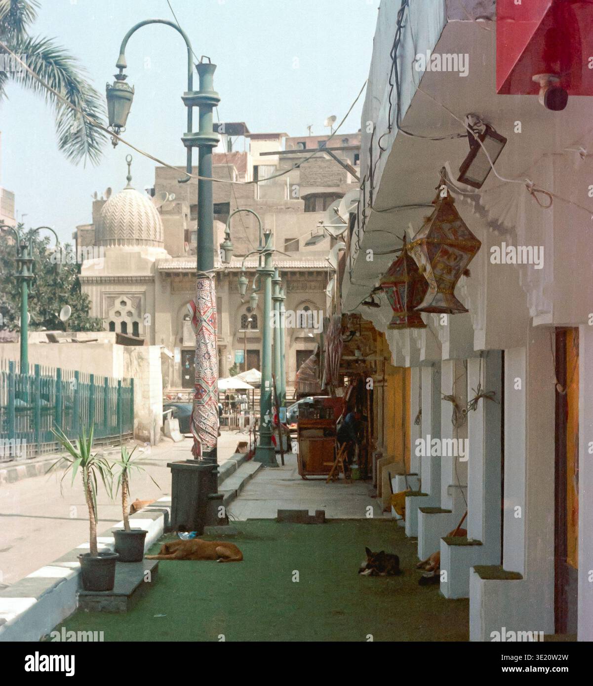 Straßenszene in der Nähe der Al-Hussein-Moschee mit Ramadan fanous-Laternen, die von Ladenfronten hängen, und streunenden Hunden, die auf dem Bürgersteig ruhen, islamisches Kairo, Ägypten Stockfoto