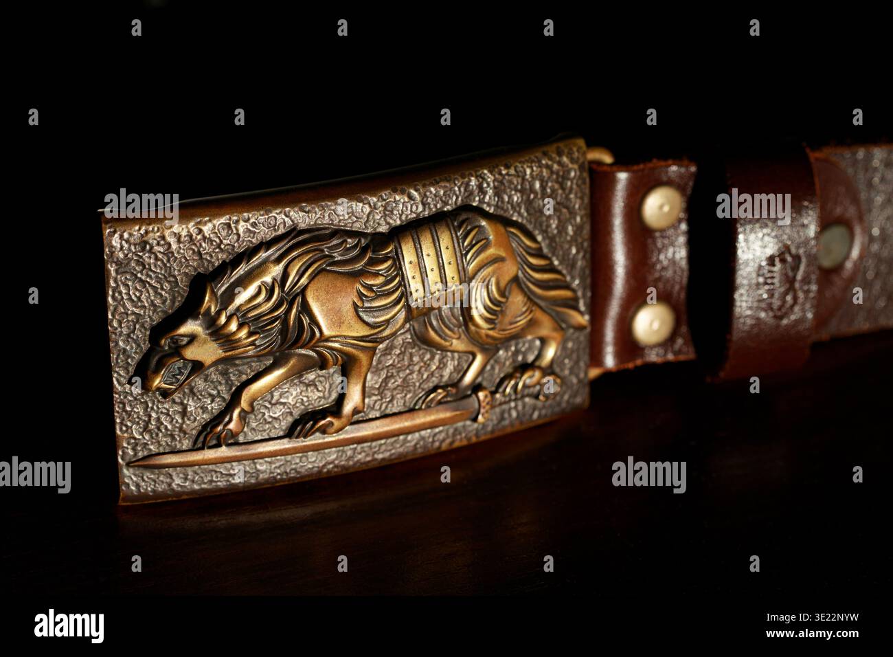 Ein detaillierter bronzefarbener Metallverschluss ist an einem dunkelbraunen Ledergürtel mit Messingnieten befestigt Stockfoto