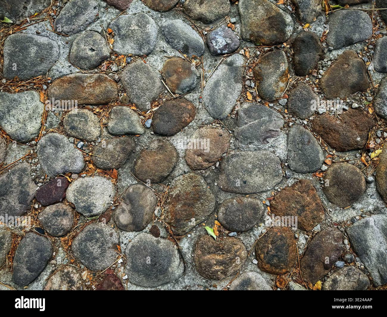 Ein hoher Blick auf einen alten Steinweg mit grauen und braunen Felsen, eingebettet in Beton mit verstreuten Kiefernnadeln Stockfoto