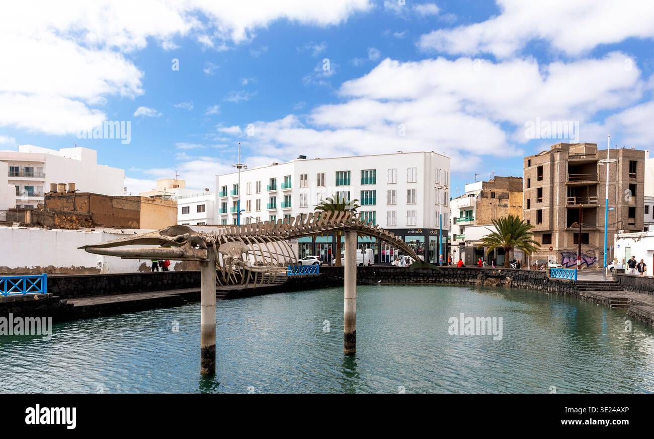 Walknochen-Ausstellung im Arrecife Harbour Lanzarote Kanarische Inseln Stockfoto