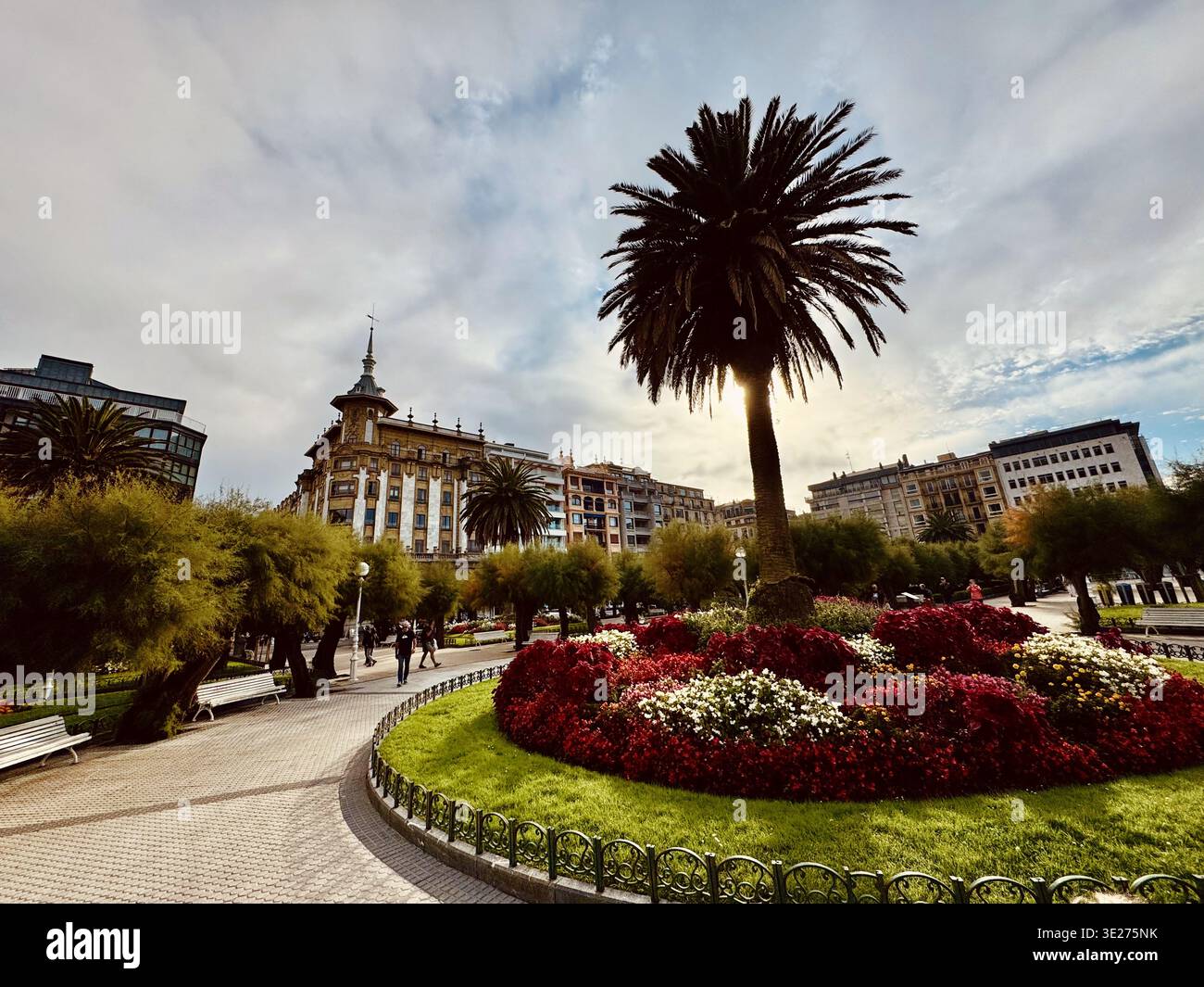 Palme im Alderdi Eder Park, San Sabastian, Spanien - Smartphone-aufgenommenes Stockfoto