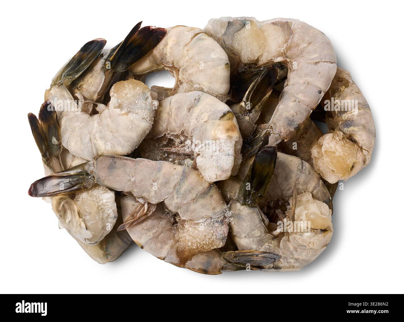 Stapel gefrorener roher Muschelgarnelen isolierter weißer Hintergrund, frische Meeresfrüchte mit Eiskristallen bereit zum Kochen, Blick von oben Stockfoto