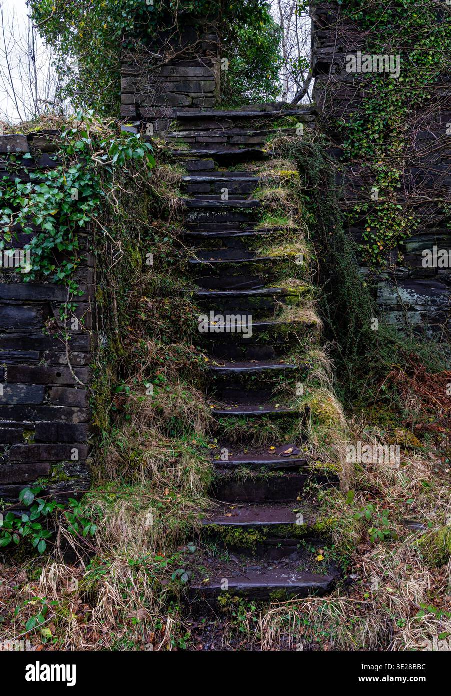 Eine äußere Schiefertreppe führt in die verwachsenen Ruinen des Dorothea Steinbruchs Stockfoto