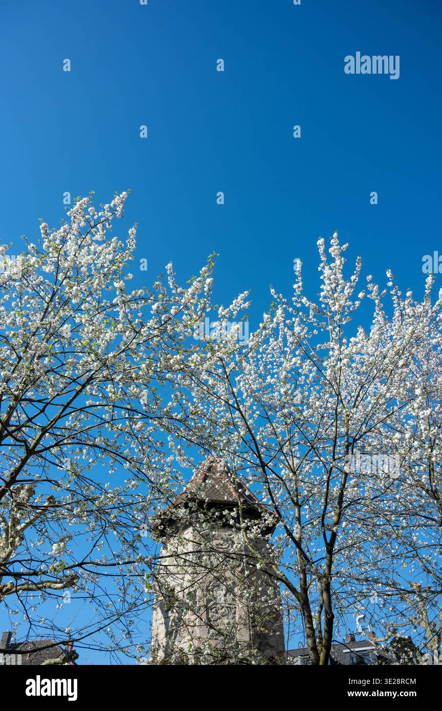 Das Rinnentor in Bensheim, ein Wahrzeichen der Stadt, /Wikipedia: Der Rinnentorturm ist ein Rest der mittelalterlichen Stadtbefestigungsanlage, die im Stockfoto