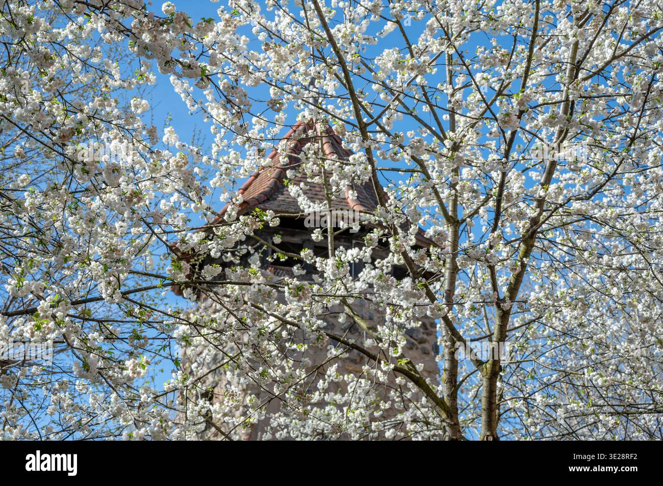 Das Rinnentor in Bensheim, ein Wahrzeichen der Stadt, /Wikipedia: Der Rinnentorturm ist ein Rest der mittelalterlichen Stadtbefestigungsanlage, die im Stockfoto