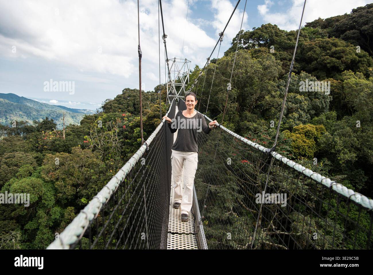 Canopy Walkway, Nyungwe National Park, Ruanda Stockfoto
