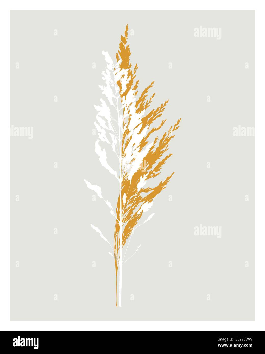 Minimalistische botanische Illustration des getrockneten Pampas Grases mit Senfgelb und weißer Schilfsilhouette auf neutralem Hintergrund. Wandkunst. Vektorillustra Stock Vektor