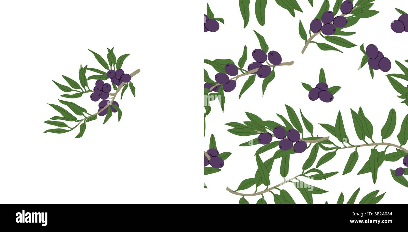 Handgezeichnetes botanisches Muster mit schwarzen Oliven und Olivenzweig. Zeichentrickgrafik isoliert. Stock Vektor