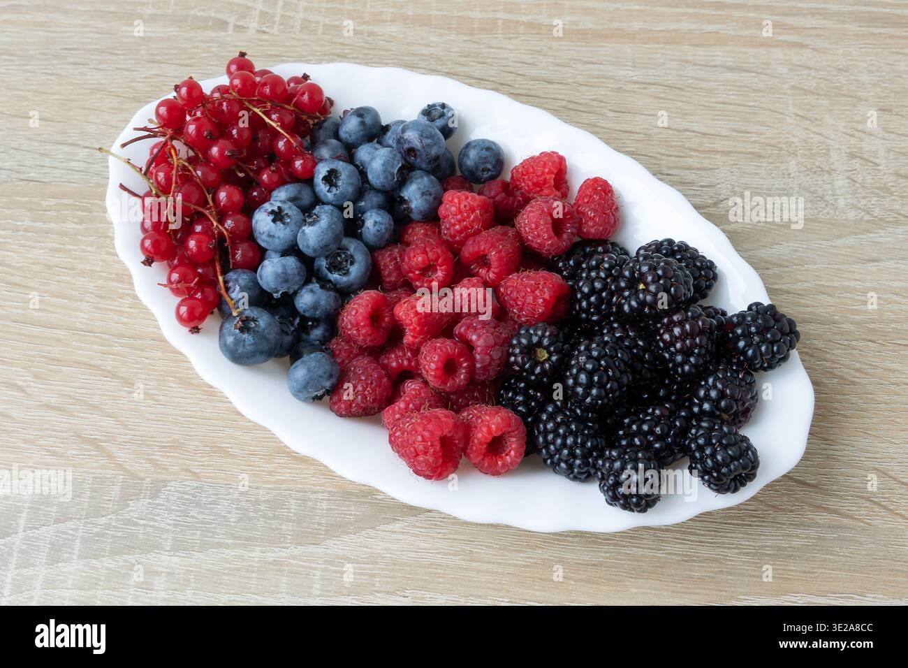 Fresh Berry Medley auf einem weißen Teller. Die Auswahl umfasst rote Johannisbeeren, Heidelbeeren, Himbeeren und Brombeeren, die kunstvoll auf einem Licht angeordnet sind Stockfoto