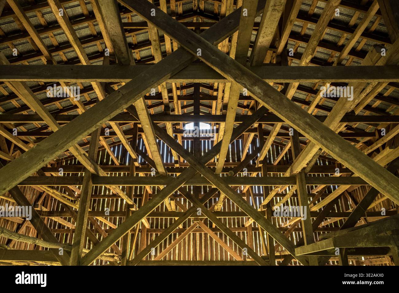 Innenansicht einer Tabakscheune mit Holzregalen, Balken und Metalldach mit reflektiertem braunem Licht. Stockfoto