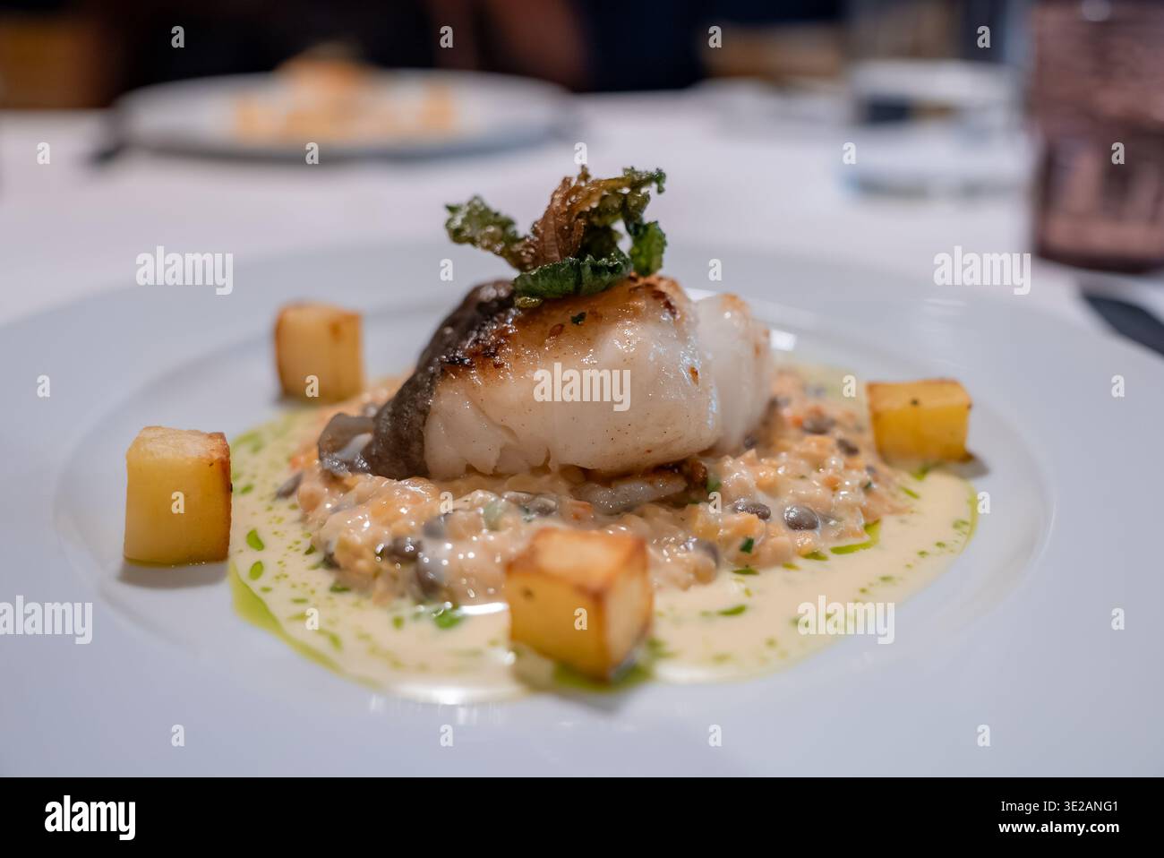Gebratener Weißfisch auf Pilzrisotto mit Kartoffeln in Zermatt, Schweiz Stockfoto