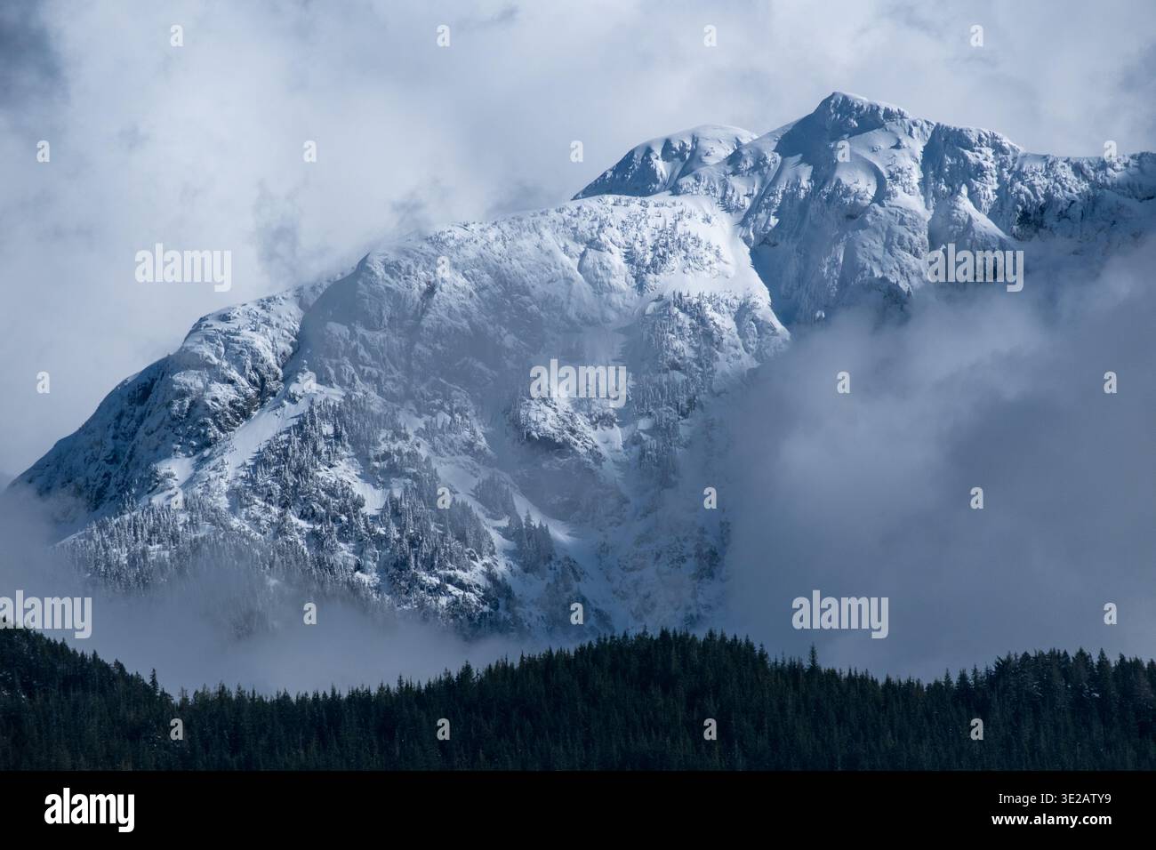 Schneebedeckte Gipfel, die sich über dem Pitt Lake, BC., über einem Vorboden eines dicht bewaldeten Berges in die Sicht treiben und aus dem Blickfeld gleiten Stockfoto
