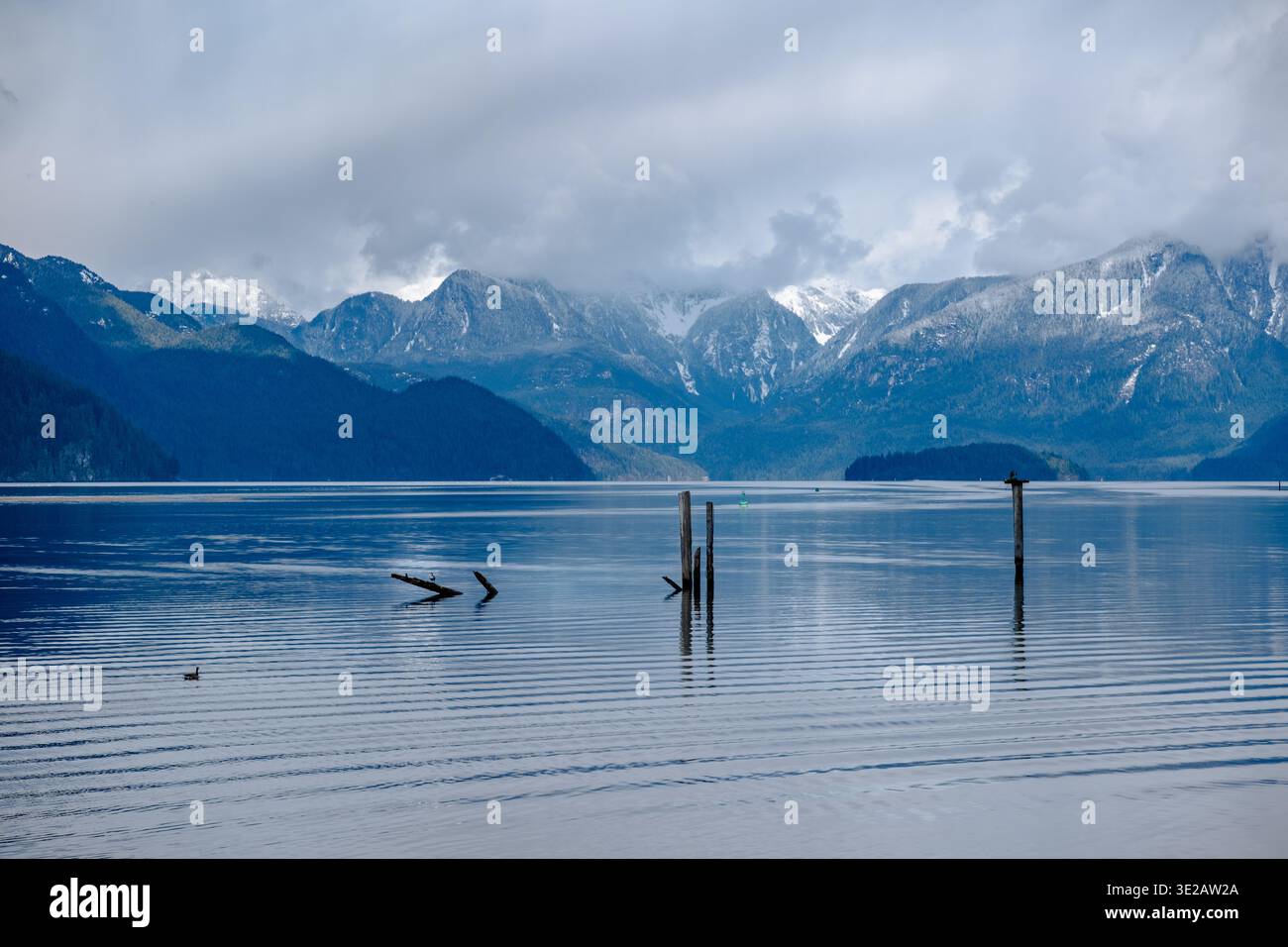 Wunderschöner Blues des Pitt Lake und der umliegenden Berge. Dicht bewaldete Berge sind mit Schnee in höheren Lagen und ein paar g bedeckt Stockfoto